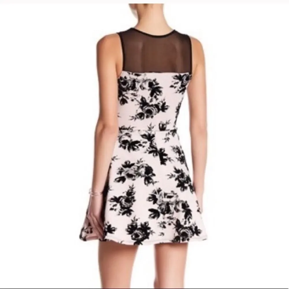 TRIXXI Floral Pink/Black Mesh Shoulder Dress Sz 2X